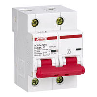 Miniature circuit breaker, HDB3w-125, 27 mm, AC, 10 kA, 2P, D curve, 100 A